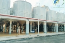Ngành giải khát và bia rượu